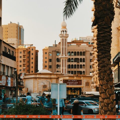 cars parked near palm trees and buildings during daytime