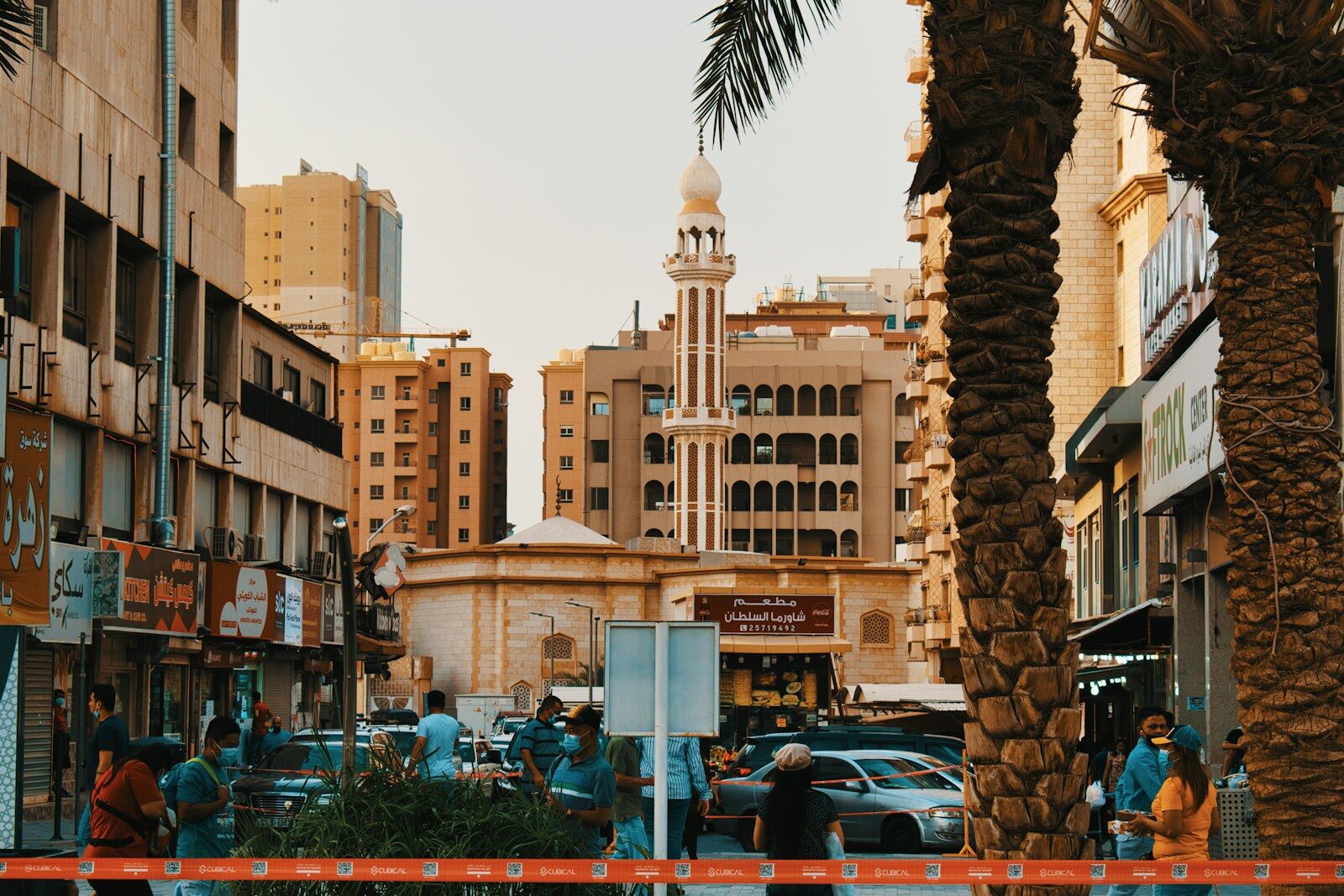 cars parked near palm trees and buildings during daytime