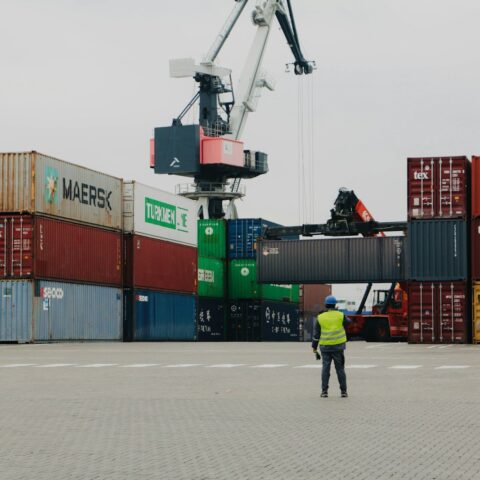 legal services in uae