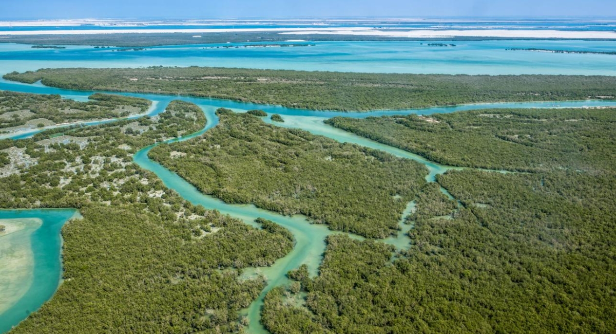 Environmental Permitting for protected mangrove habitats in Abu Dhabi