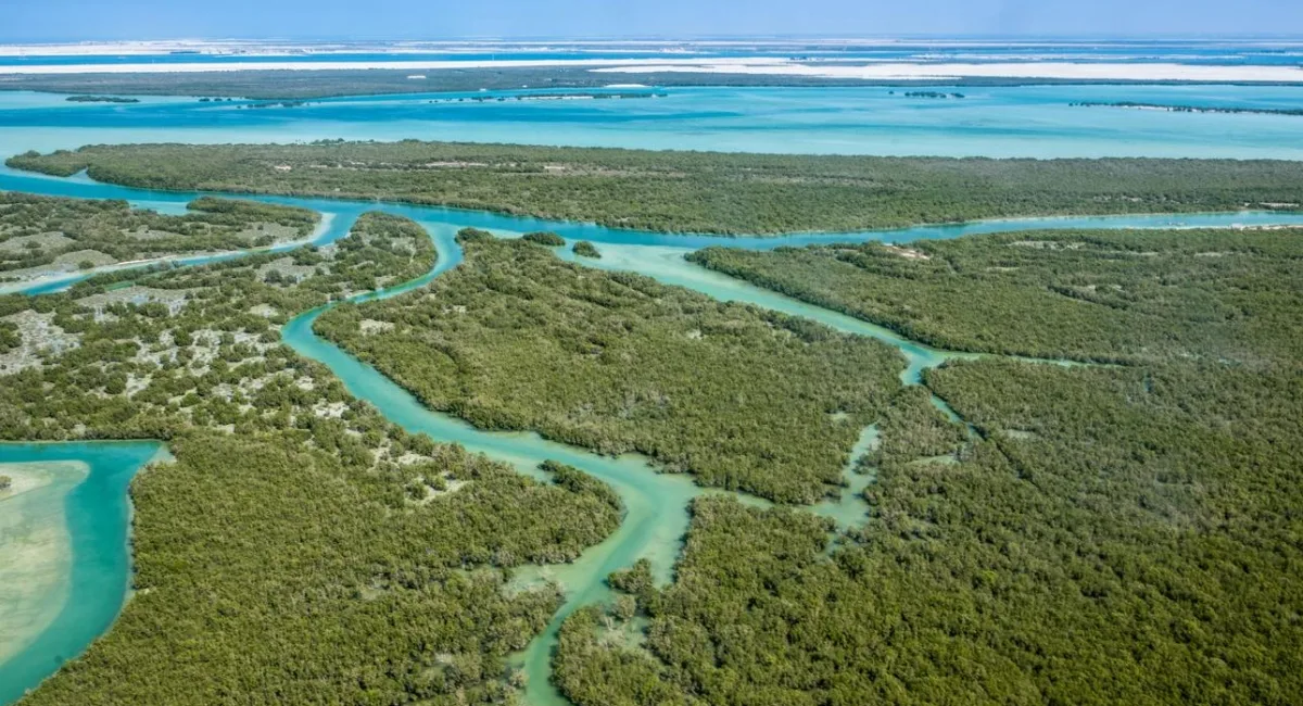Resolution No. 2 of 2026: Mandatory Environmental Permitting, Habitat Controls, and Biodiversity Protection in Abu Dhabi